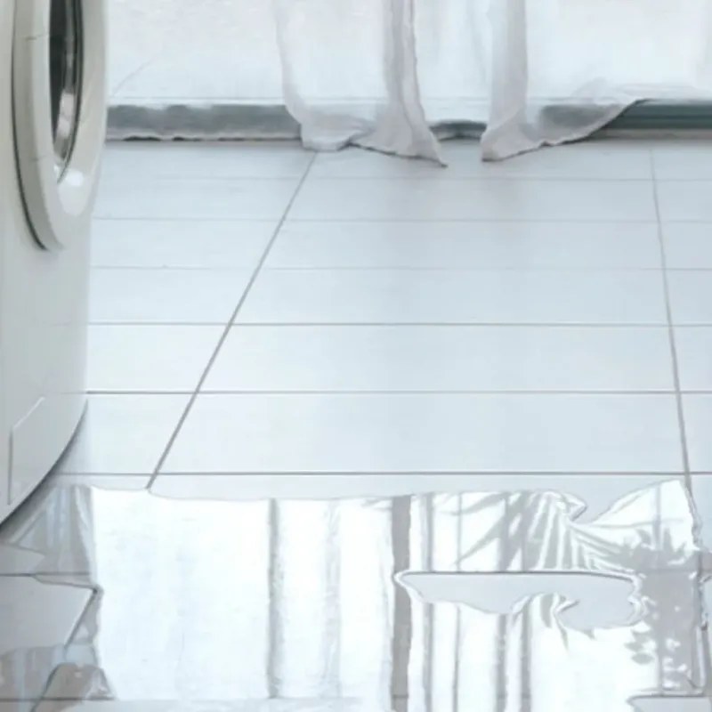 Appliance Leak Cleanup in Chauvin, LA