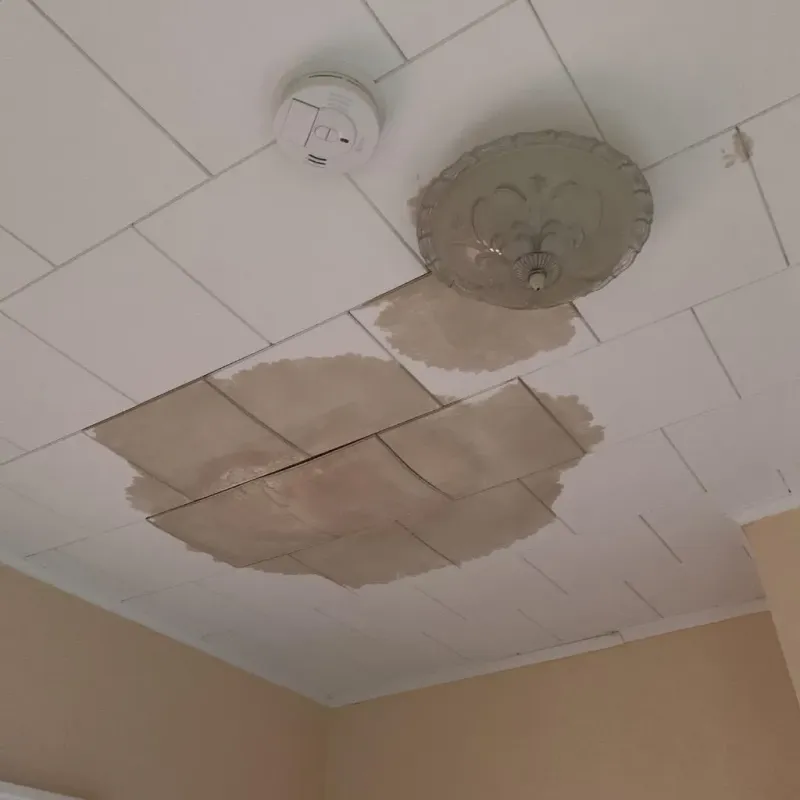 Ceiling Water Damage Repair in Chauvin, LA