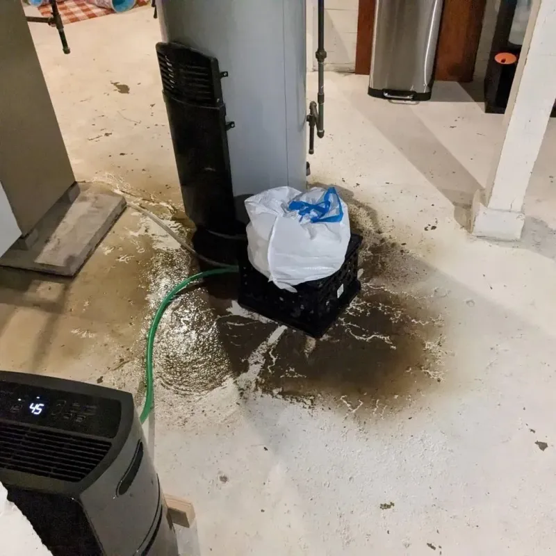Sewage Backup Cleanup Service in Chauvin, LA